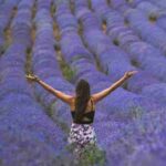 w fit 4 1 0, tags: ruhe und - unsplash